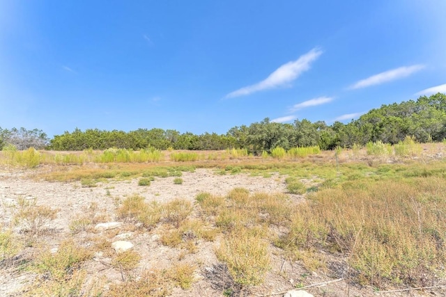 LOT1 Mcgregor Ln, Dripping Springs, TX 78620 - photo 8