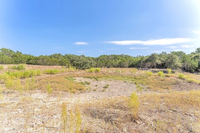 LOT1 Mcgregor Ln, Dripping Springs, TX 78620 - photo 9