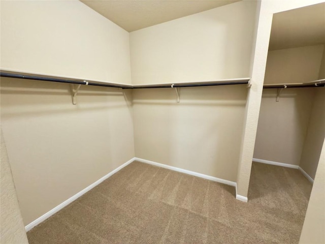 walk in closet with carpet floors