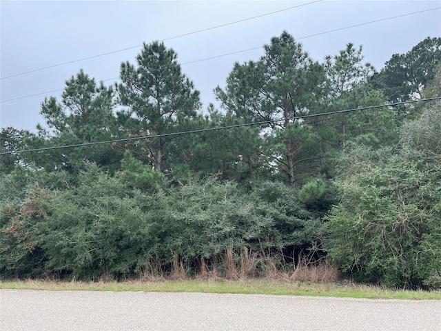 327 Corral Rd, Smithville TX, 78957 land for sale