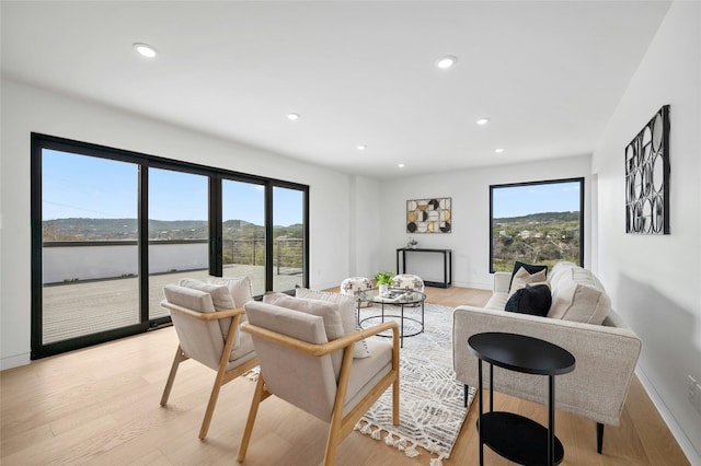 living area featuring light wood-style floors, a healthy amount of sunlight, and a mountain view