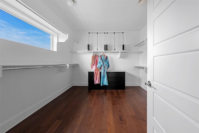6221 Seville Dr, Austin, TX 78724 - spacious closet with dark wood-style floors