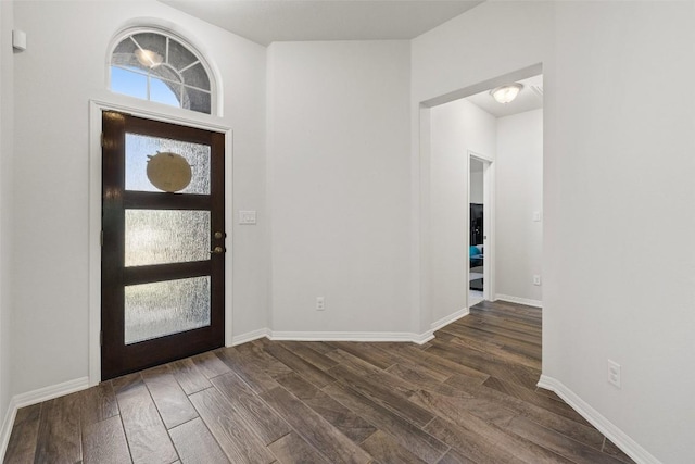 foyer featuring a healthy amount of sunlight, dark wood finished floors, and baseboards