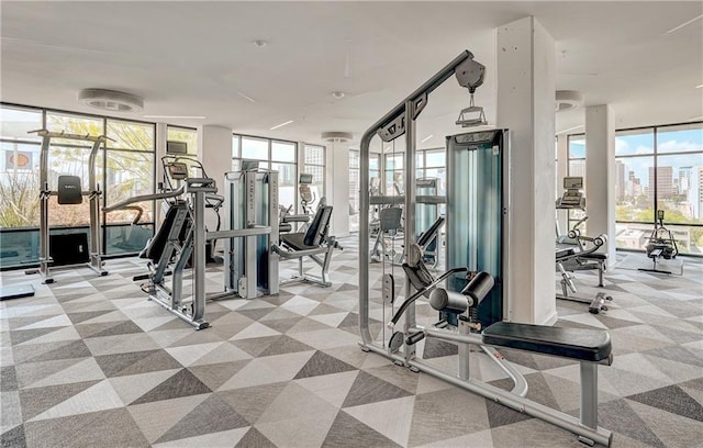800 Embassy Dr Unit 319, Austin, TX 78702 - gym featuring expansive windows, light carpet, and a view of city
