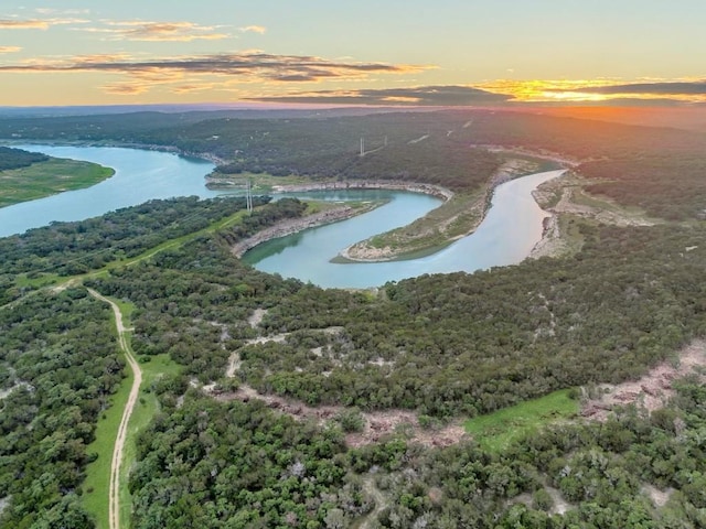 drone / aerial view with a water view and a view of trees