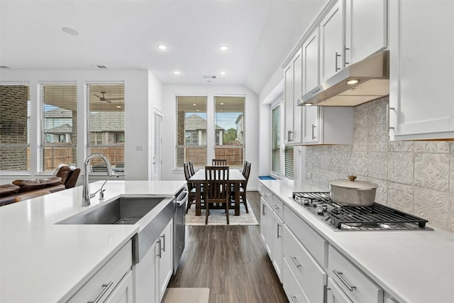 kitchen featuring light countertops, decorative backsplash, white cabinets, and under cabinet range hood