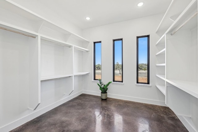 view of spacious closet