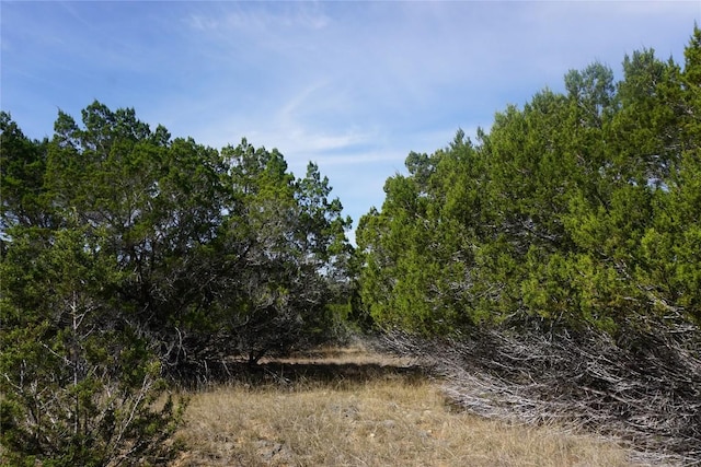 569 Palomino Spgs, Bandera, TX 78003