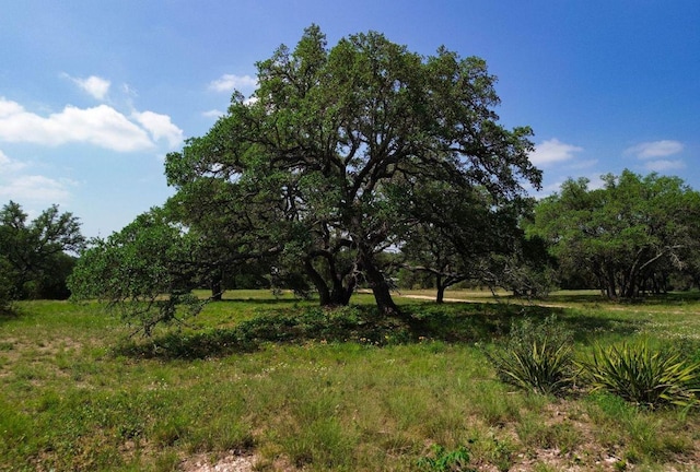 1037 Ranch Road 962 W, Round Mountain, TX 78663 - photo 30