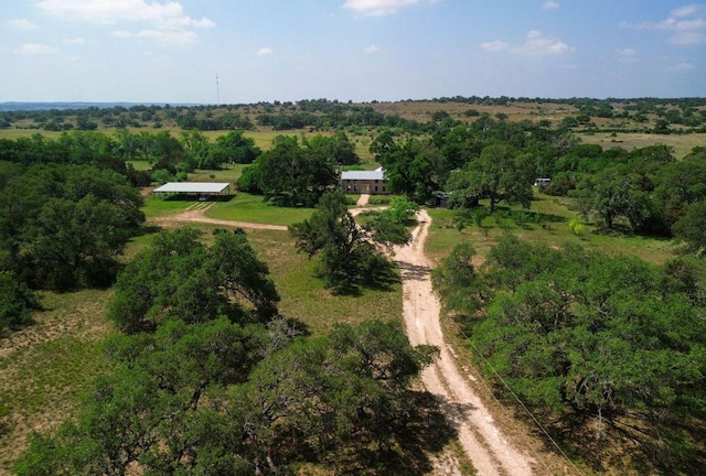 1037 Ranch Road 962 W, Round Mountain, TX 78663 - photo 3