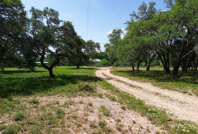 1037 Ranch Road 962 W, Round Mountain, TX 78663 - photo 5