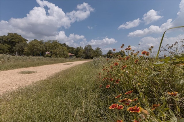 3010 Burleson Rd Unit A, Austin, TX 78741 - view of road