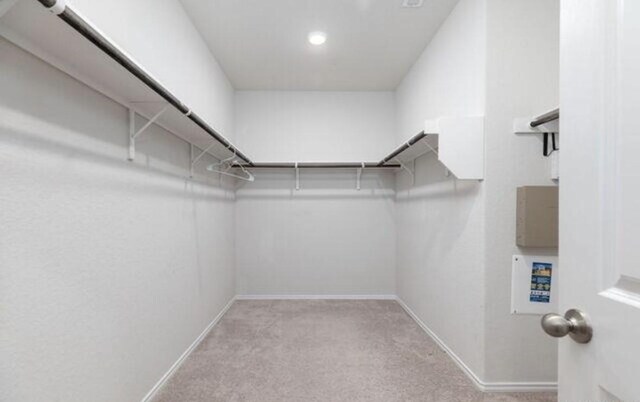 walk in closet with light colored carpet