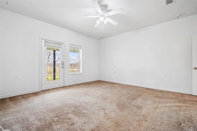 826 Savannah Cv, Elgin, TX 78621 - photo 17