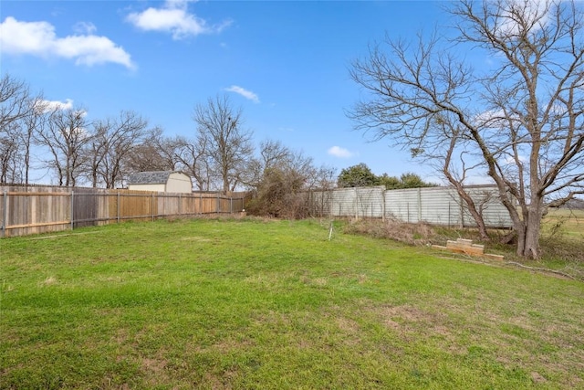 826 Savannah Cv, Elgin, TX 78621 - view of yard