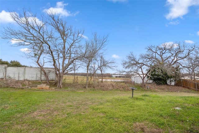 826 Savannah Cv, Elgin, TX 78621 - photo 28