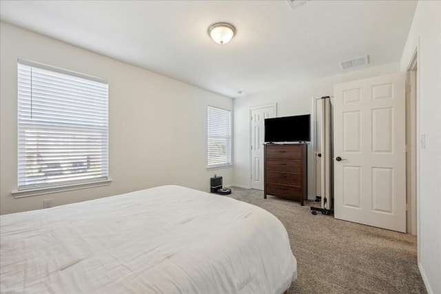 6213 Albany Sleigh Dr, Del Valle, TX 78617 - bedroom with carpet floors, multiple windows, visible vents, and baseboards