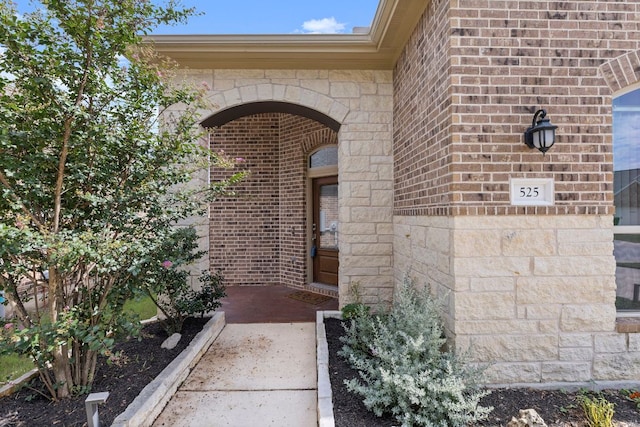 525 Scenic Bluff Dr, Georgetown, TX 78628 - photo 5