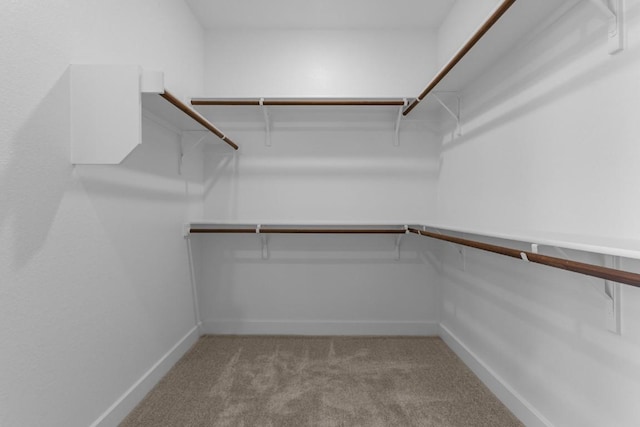 11 Doverland Dr, Lakeway, TX 78738 - spacious closet with carpet