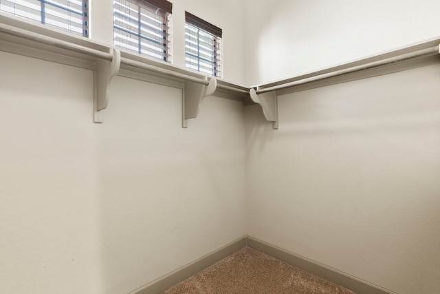 spacious closet featuring carpet flooring