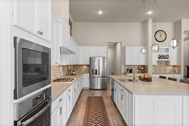 kitchen featuring light countertops, appliances with stainless steel finishes, a sink, and under cabinet range hood