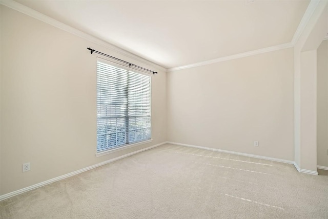1003 Preserve Pl, Round Rock, TX 78665 - unfurnished room featuring ornamental molding, light carpet, and baseboards