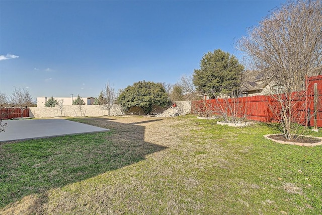 1003 Preserve Pl, Round Rock, TX 78665 - view of yard