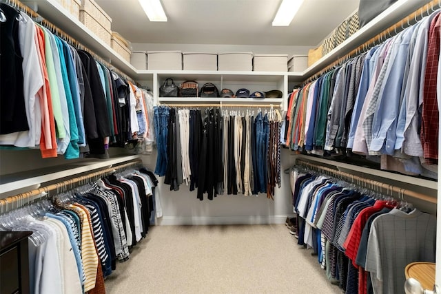 spacious closet featuring carpet floors