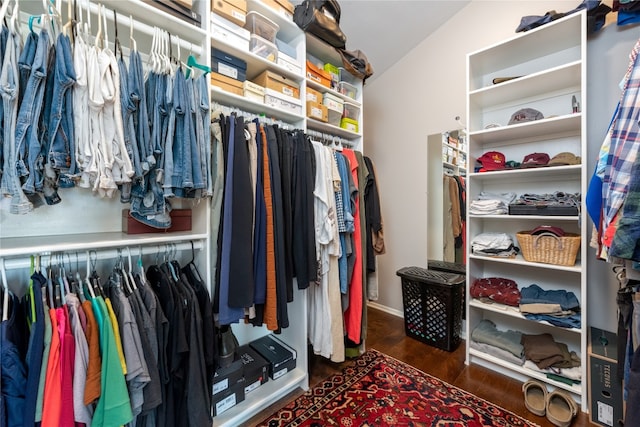 spacious closet featuring dark wood-style flooring