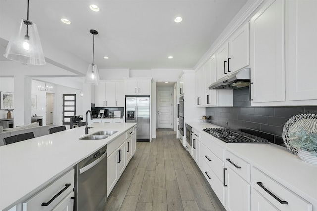 1635 Nature View Loop, Driftwood, TX 78619 - kitchen with stainless steel appliances, a sink, under cabinet range hood, recessed lighting, and light countertops