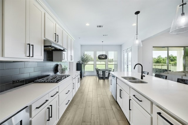 1635 Nature View Loop, Driftwood, TX 78619 - kitchen with appliances with stainless steel finishes, under cabinet range hood, light wood-style floors, light countertops, and recessed lighting