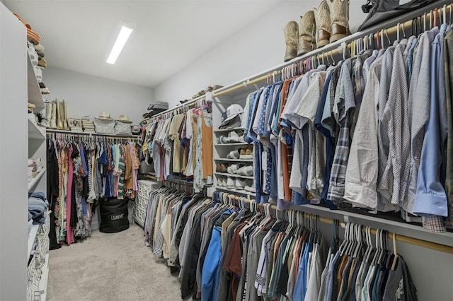 1635 Nature View Loop, Driftwood, TX 78619 - walk in closet featuring carpet flooring