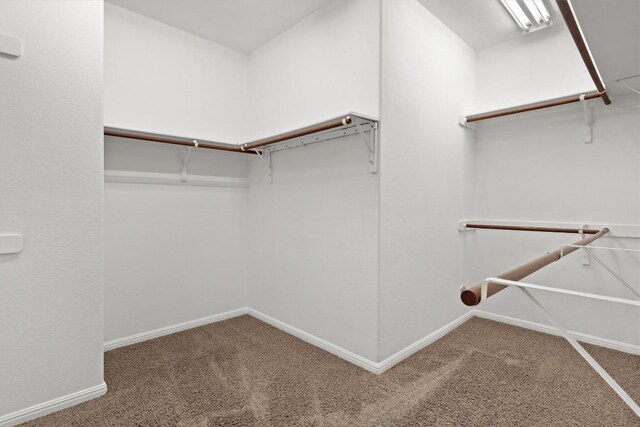 4194 Windberry Ct, Round Rock, TX 78665 - photo 20