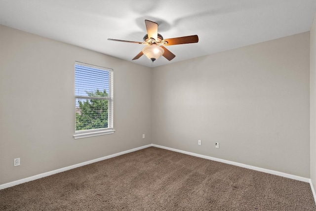 4194 Windberry Ct, Round Rock, TX 78665 - photo 29