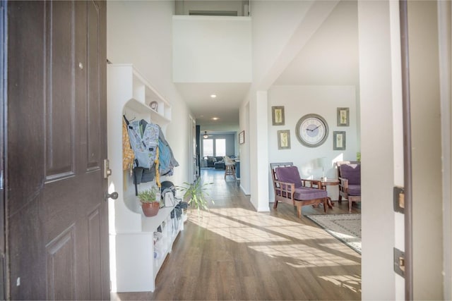 5864 Bianca Dr, Round Rock, TX 78665 - entryway featuring wood finished floors and recessed lighting