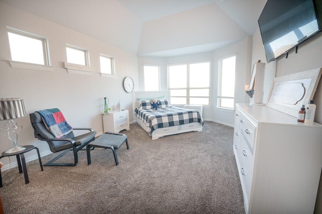 5864 Bianca Dr, Round Rock, TX 78665 - carpeted bedroom with multiple windows, lofted ceiling, and baseboards
