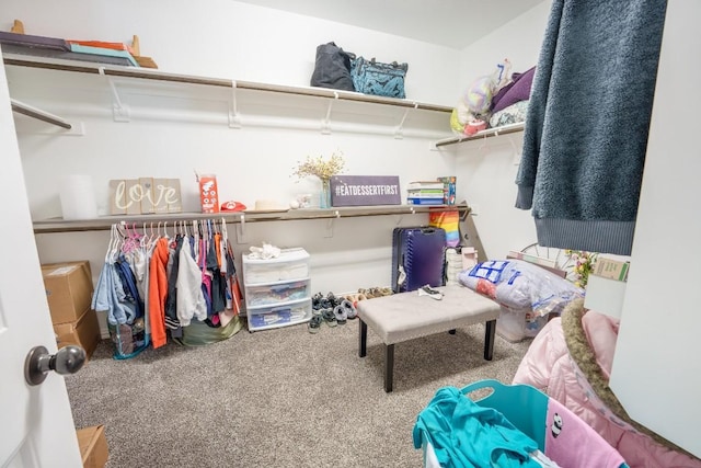 5864 Bianca Dr, Round Rock, TX 78665 - spacious closet with carpet flooring