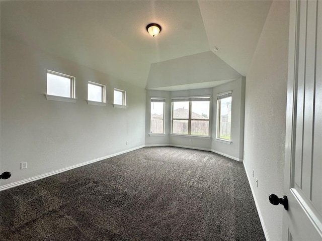 5864 Bianca Dr, Round Rock, TX 78665 - empty room with lofted ceiling and carpet flooring