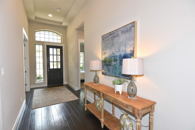 2617 Long Lasso Pass, Leander, TX 78641 - foyer with baseboards, dark wood-type flooring, and recessed lighting