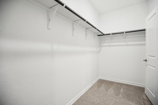 1011 Moose Rd, Hutto, TX 78634 - photo 20