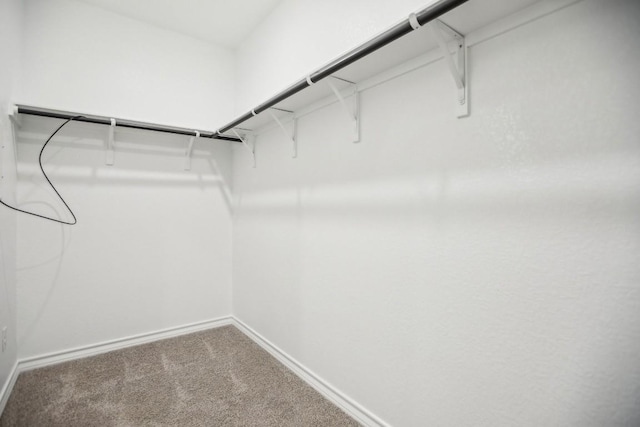 1011 Moose Rd, Hutto, TX 78634 - photo 21