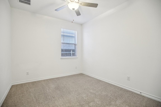 1011 Moose Rd, Hutto, TX 78634 - photo 23