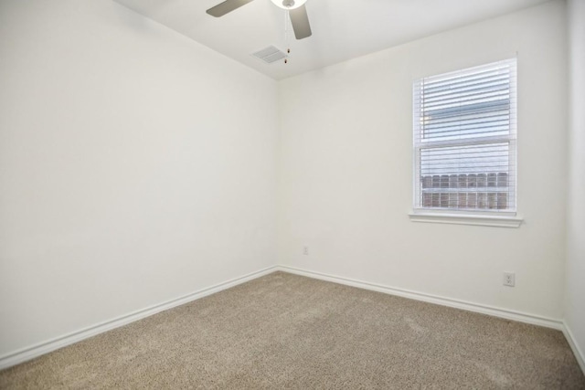 1011 Moose Rd, Hutto, TX 78634 - photo 24