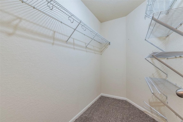 214 Teron Dr, San Marcos, TX 78666 - spacious closet with carpet
