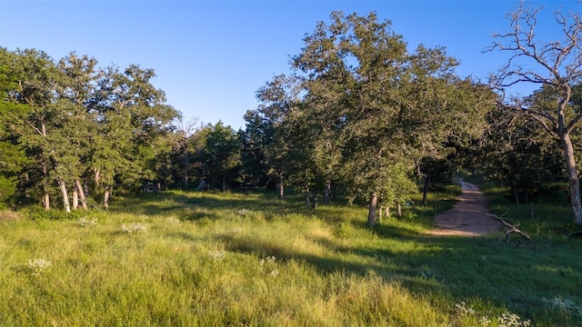 277 Meuth Cemetery Rd, Red Rock TX, 78662 land for sale