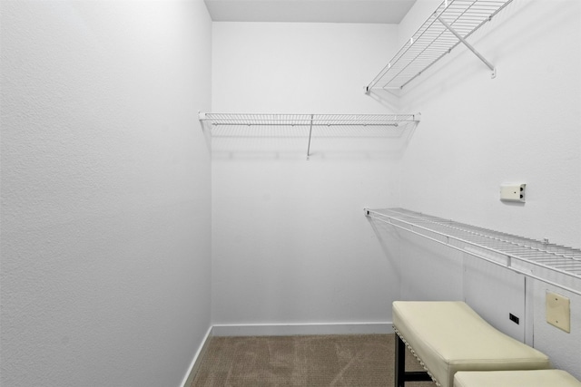 1900 Barton Springs Rd Unit 4040, Austin, TX 78704 - walk in closet featuring carpet floors