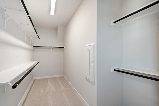 1205 N Roger Hanks Pkwy, Dripping Springs, TX 78620 - spacious closet featuring light colored carpet