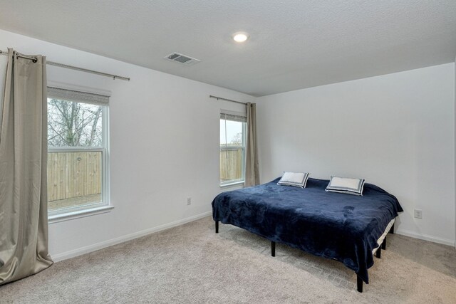 13029 Field Plow Ln, Elgin, TX 78621 - bedroom with carpet floors and baseboards