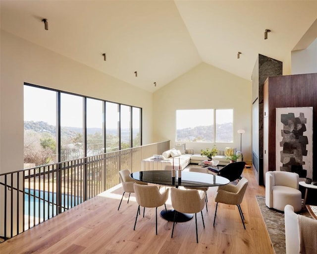 dining space featuring high vaulted ceiling, a mountain view, and light wood-style floors