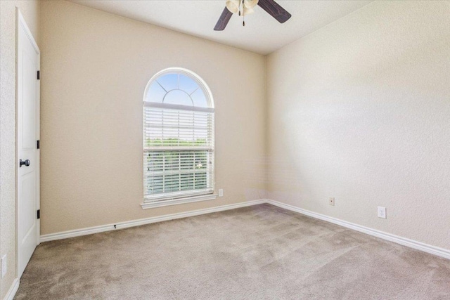 503 W Gemini Ln, Killeen, TX 76542 - photo 20